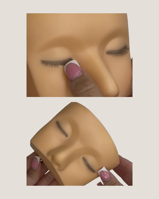 Three Layer Mannequin head